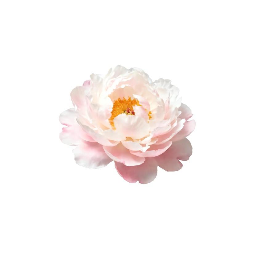 饿了就通