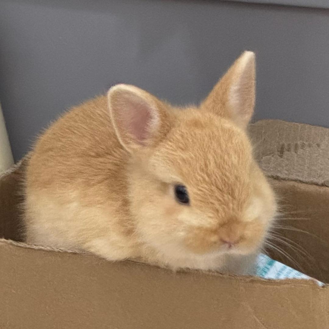 蛙蛙瓜瓜（摄影版）