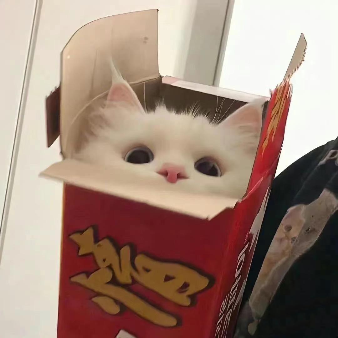 祈安安