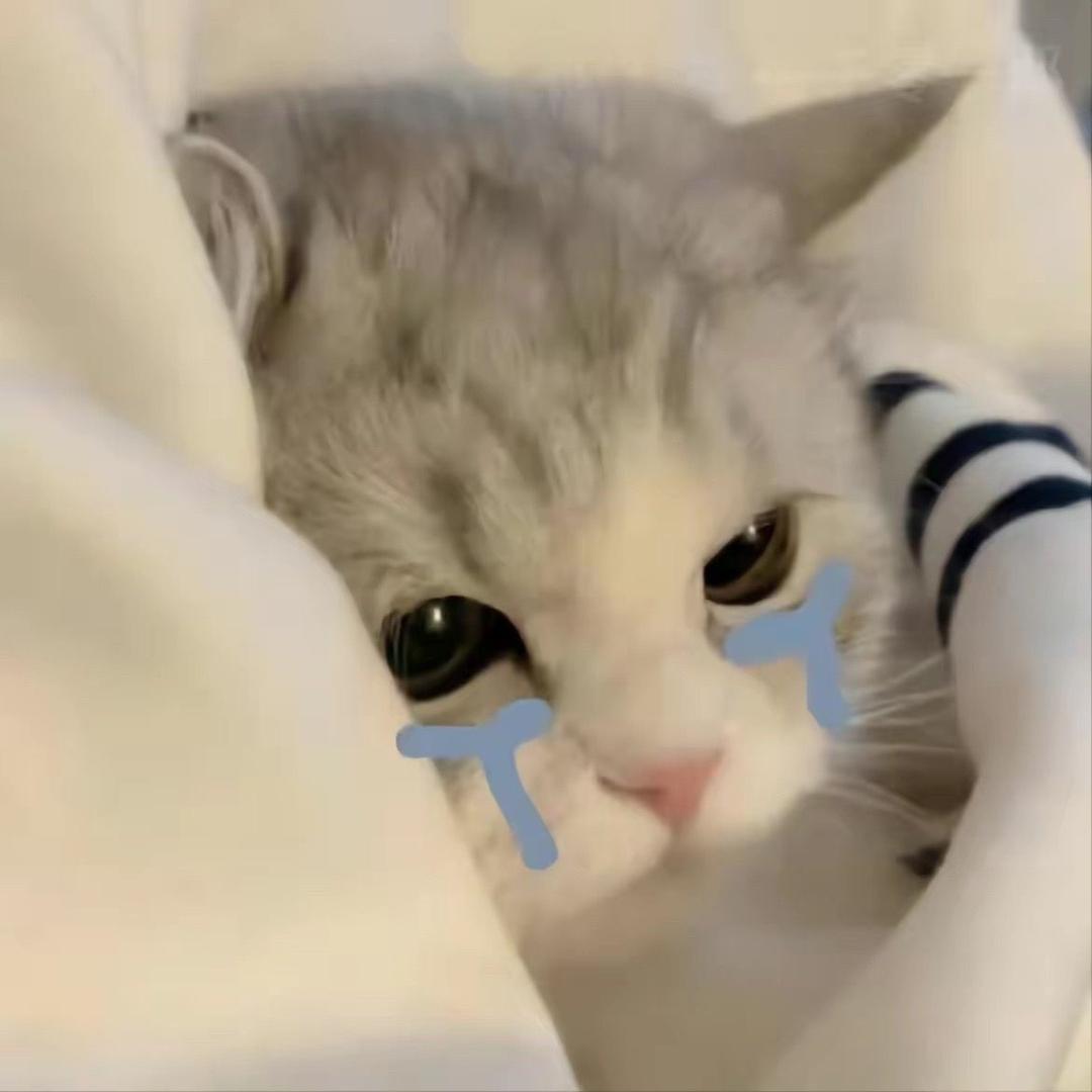 词不达意