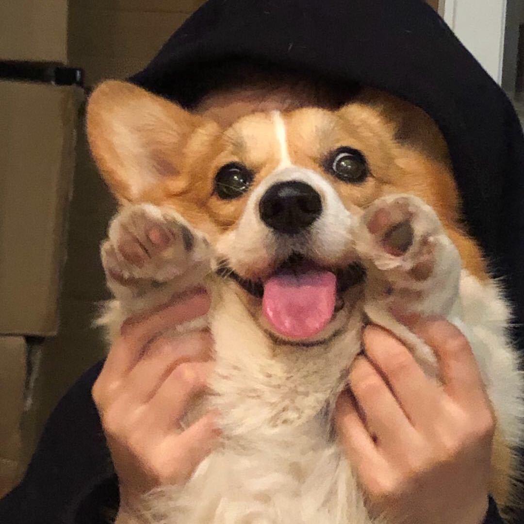 有一吨