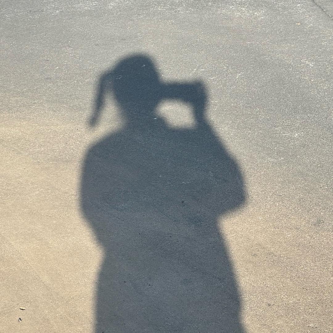 小仙女的日记📔