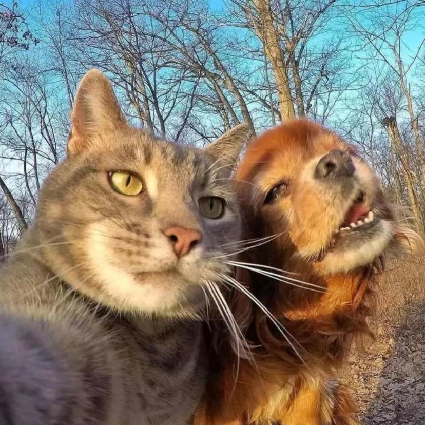 我爱吃煎饼果子