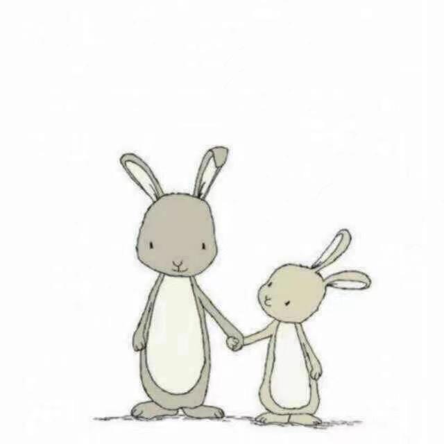 毛小毛 🐰