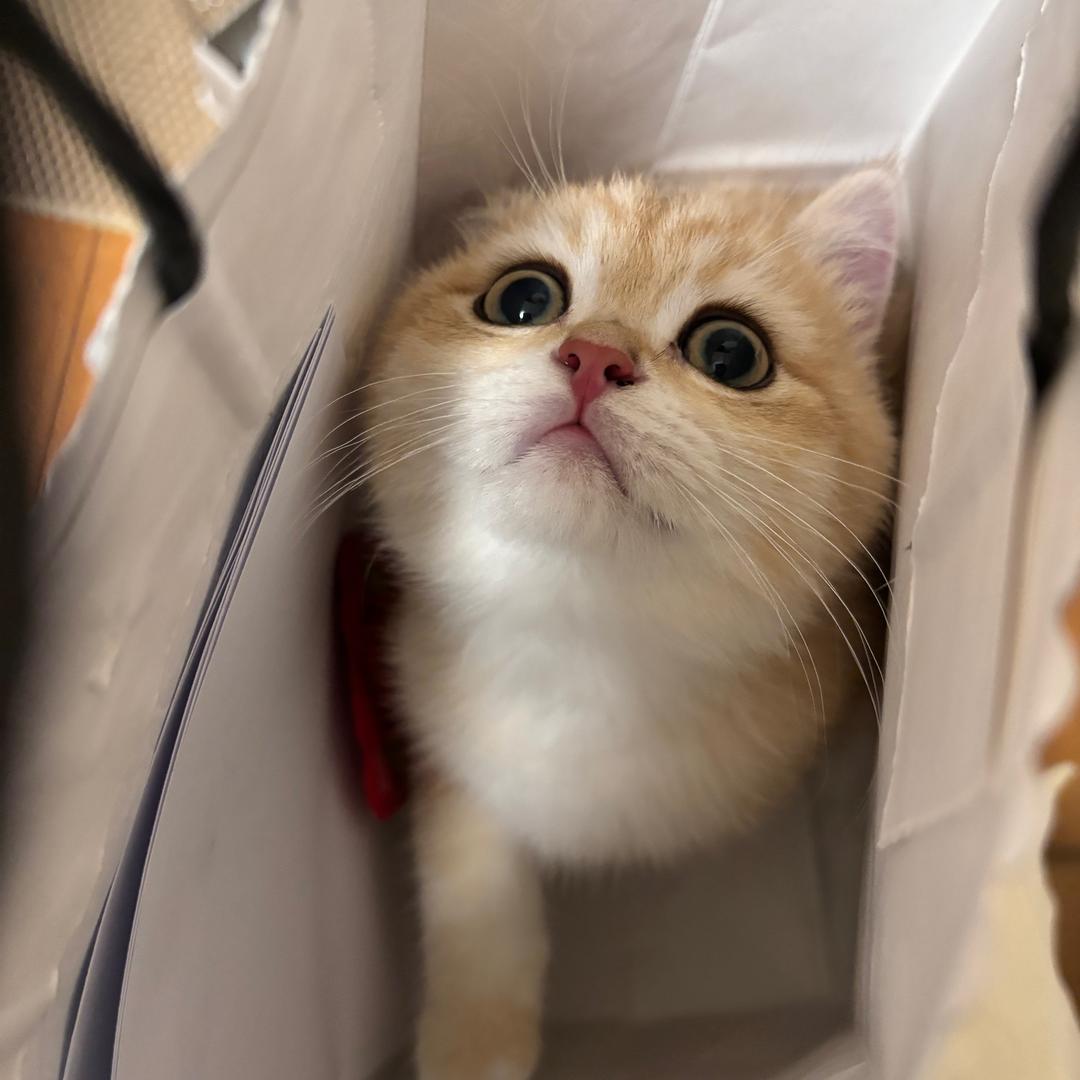 搓澡大王