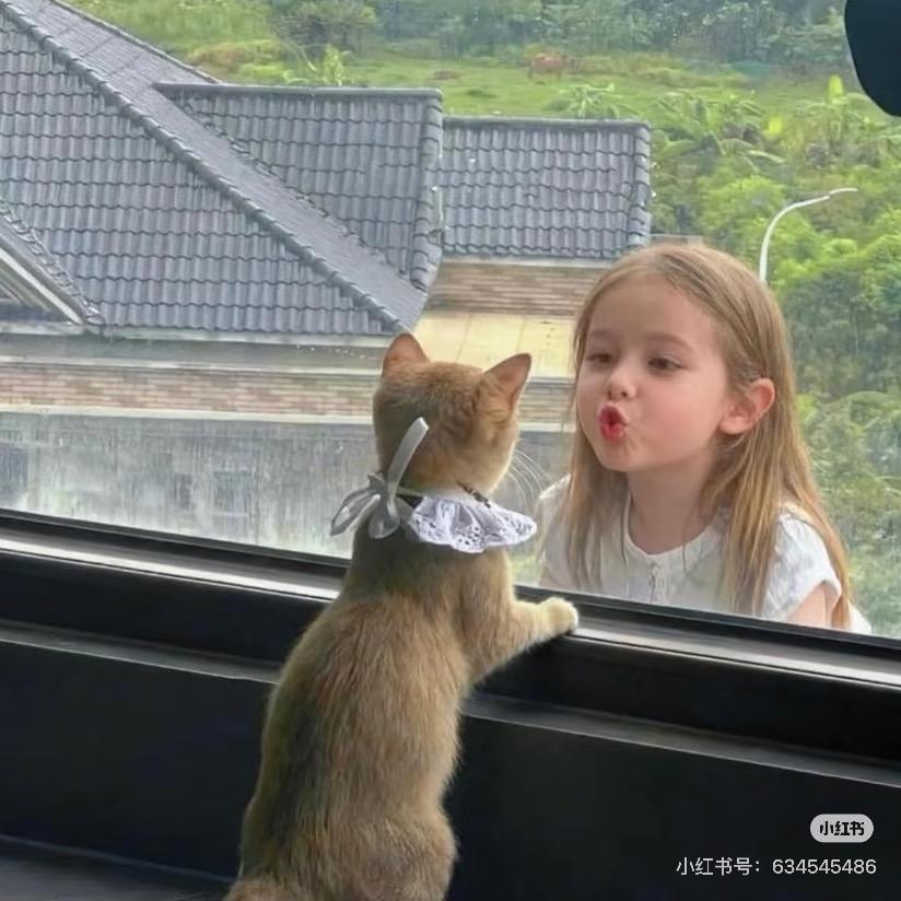 香焦了个堡拉拉