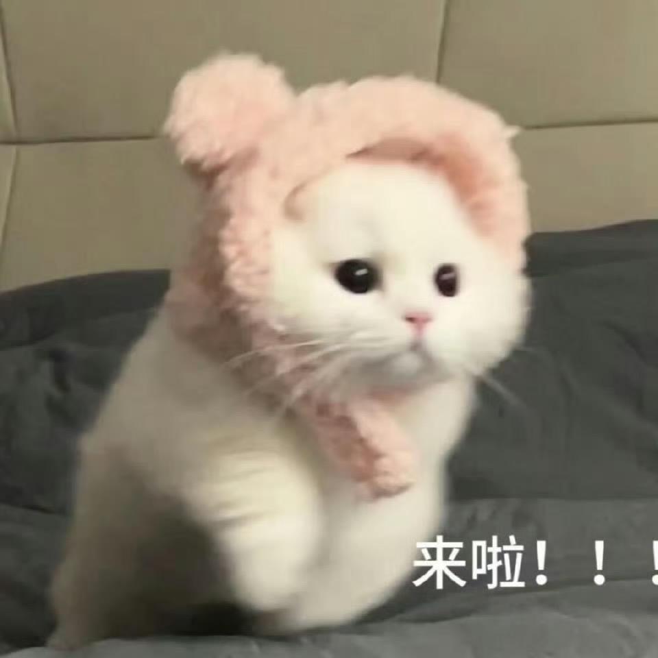 Uu