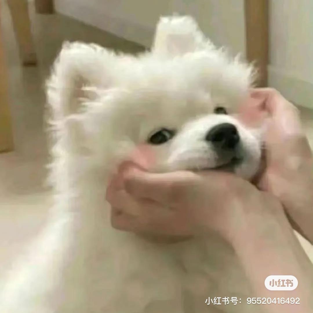 小莹莹😶‍🌫️