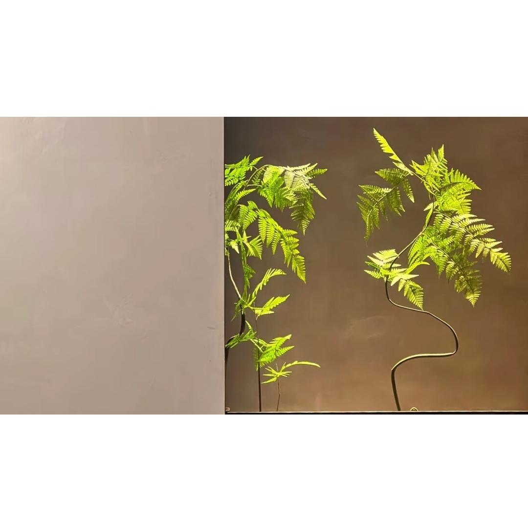物来顺应
