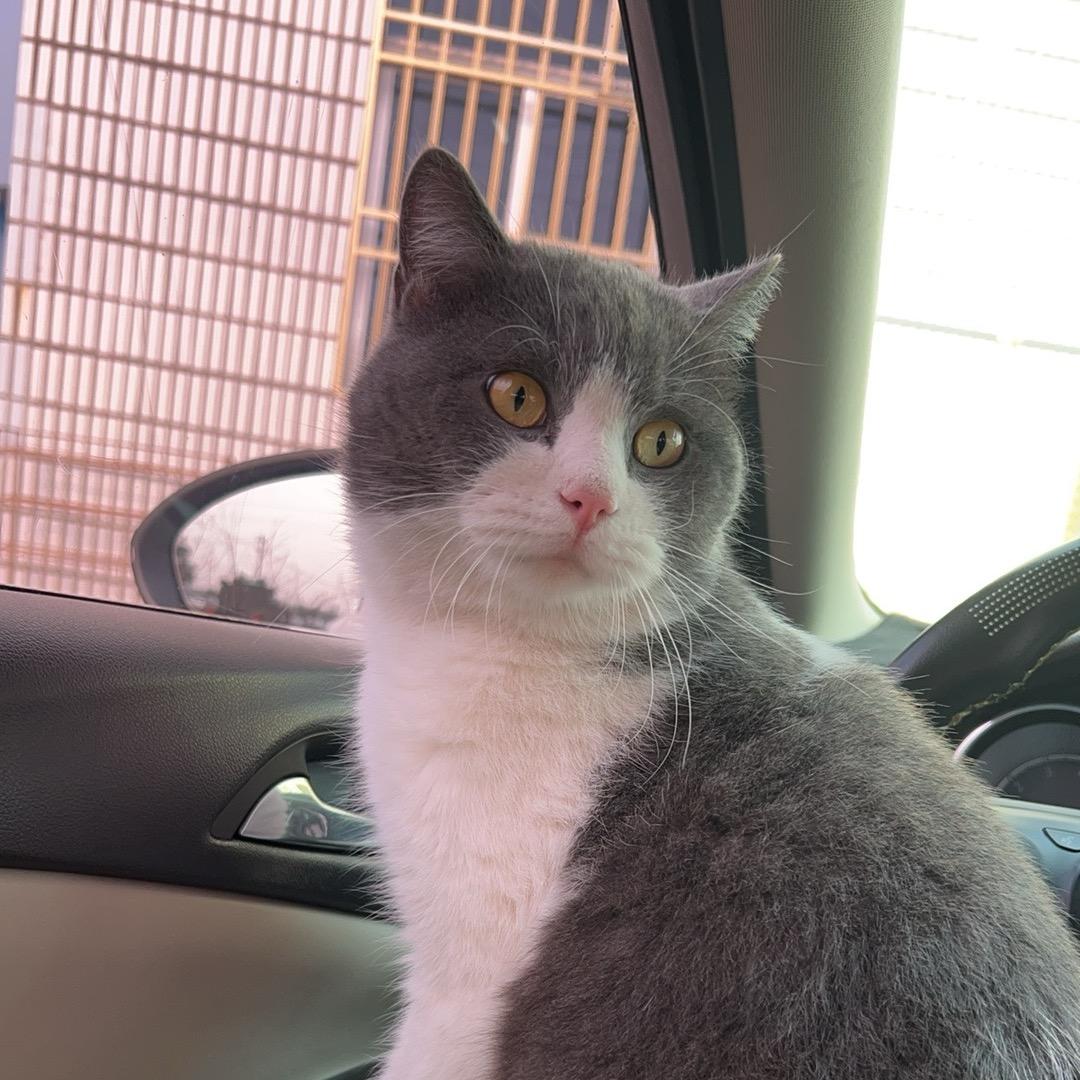 🌼 梅·Mᰔei🎉