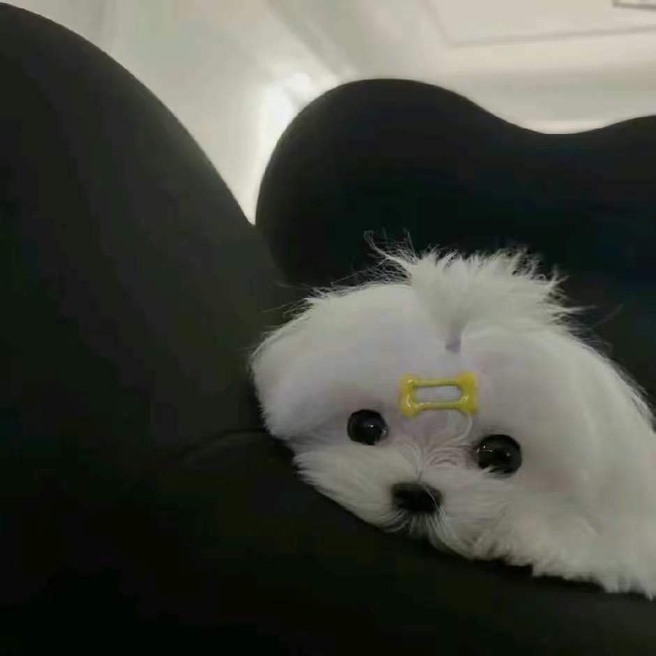 香蕉你个banana.