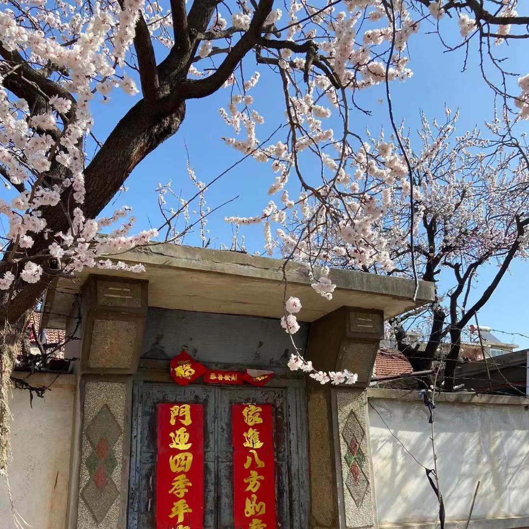 牧白
