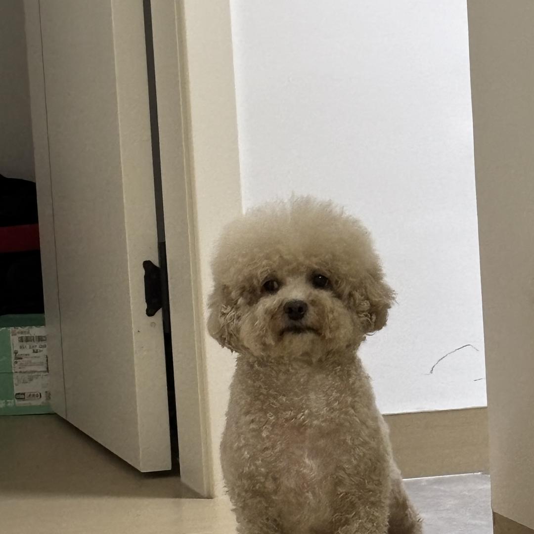 顺达鲜花