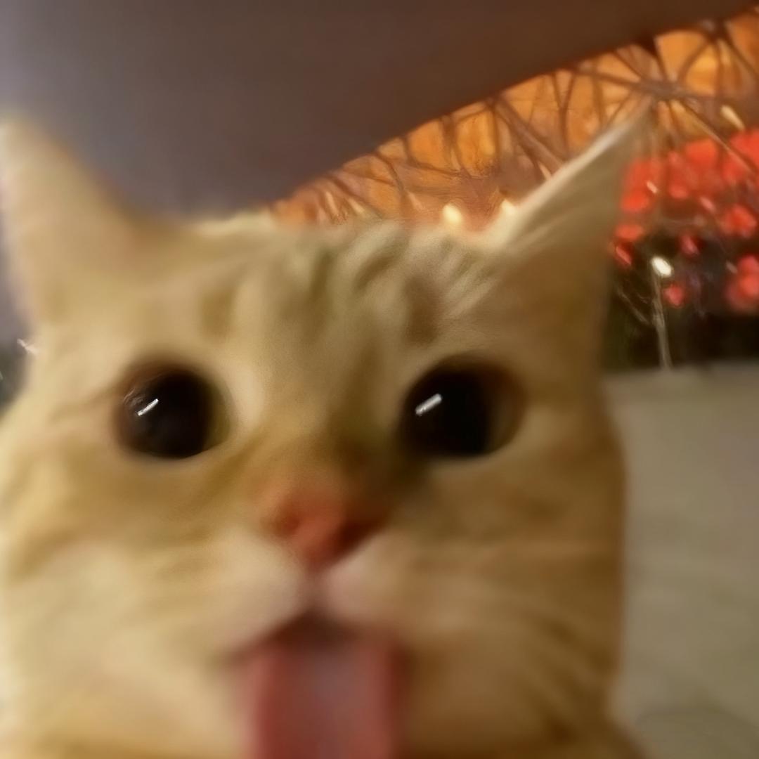 没事睡觉