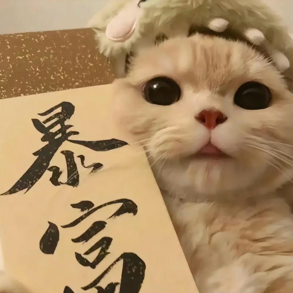 阿粥的发财日记