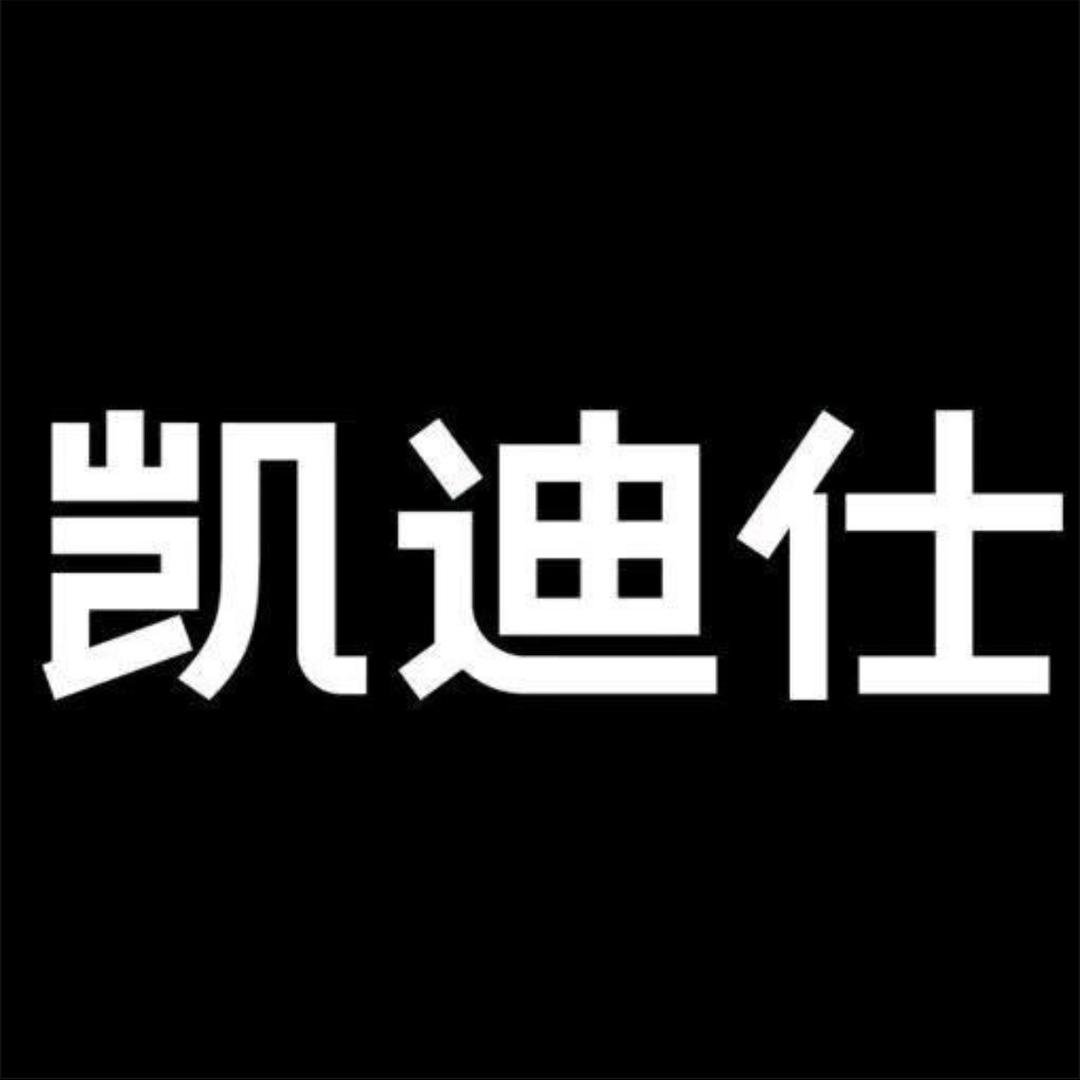 凯迪仕智能锁（文化路店）