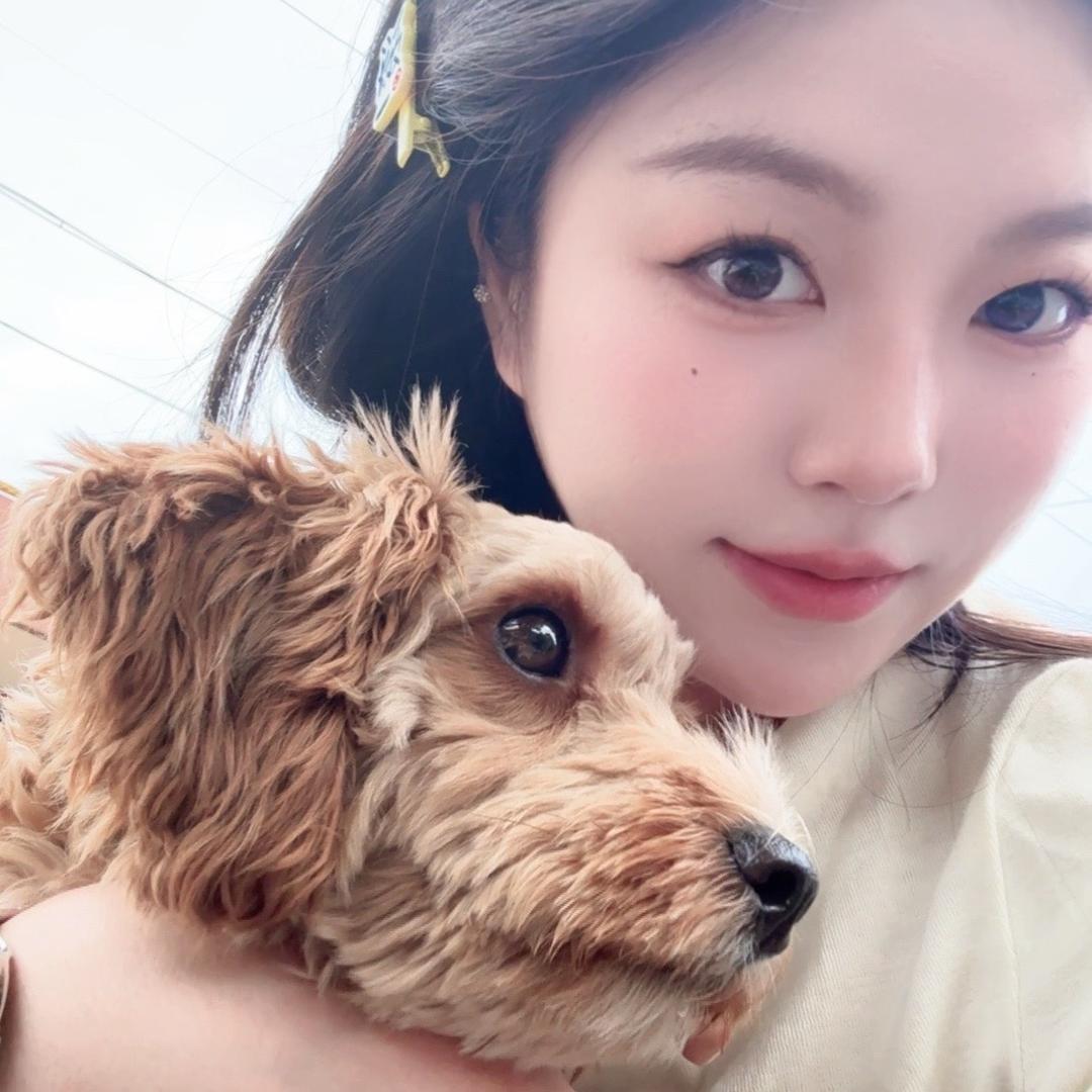 咪子🧸