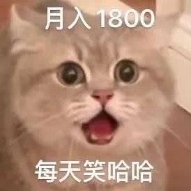 🌈🌈小桃子🍑