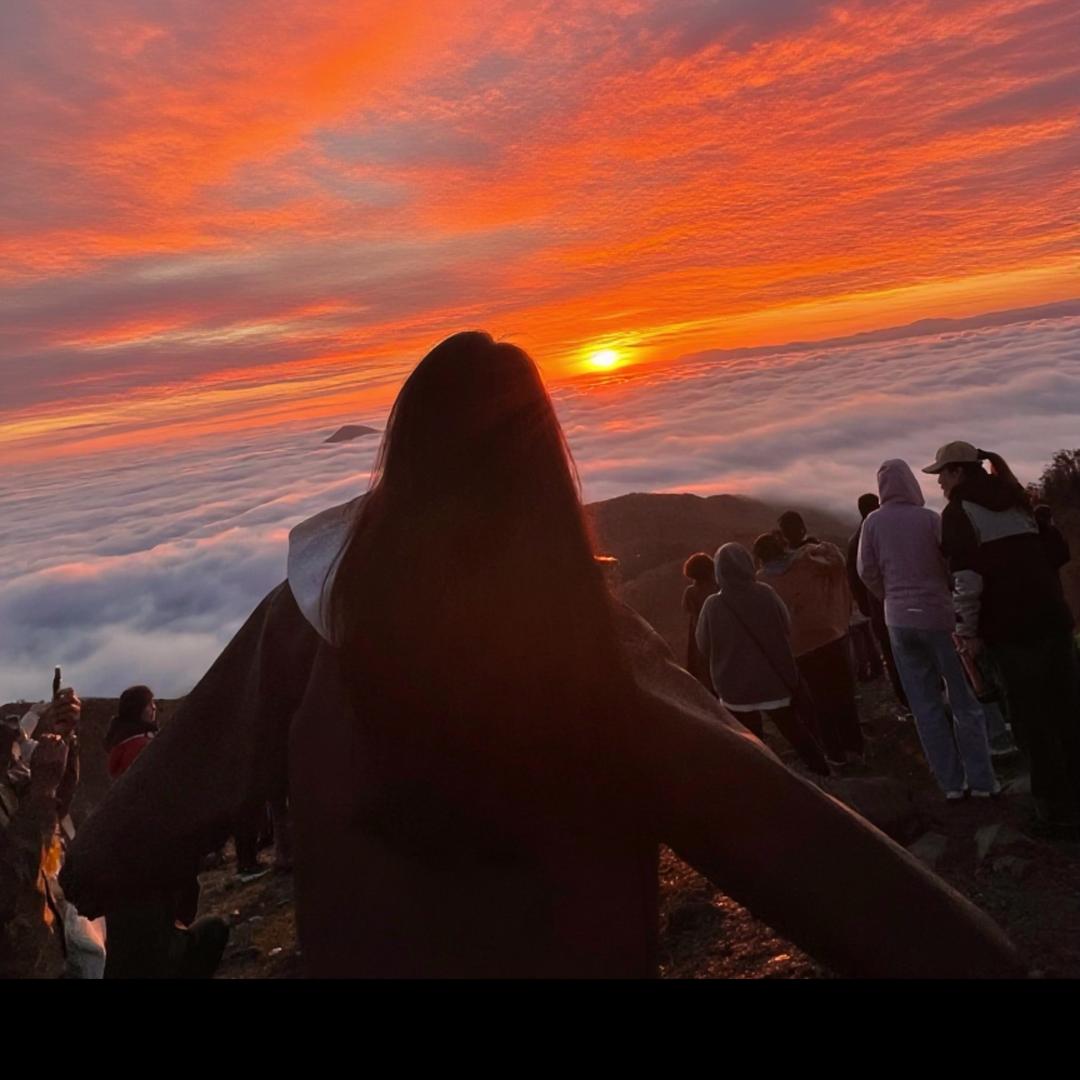 重生之我是抽象天才🔒