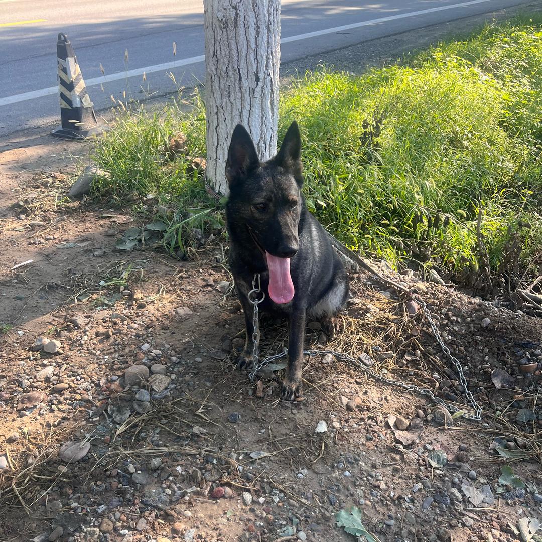 奔四望五没玩够