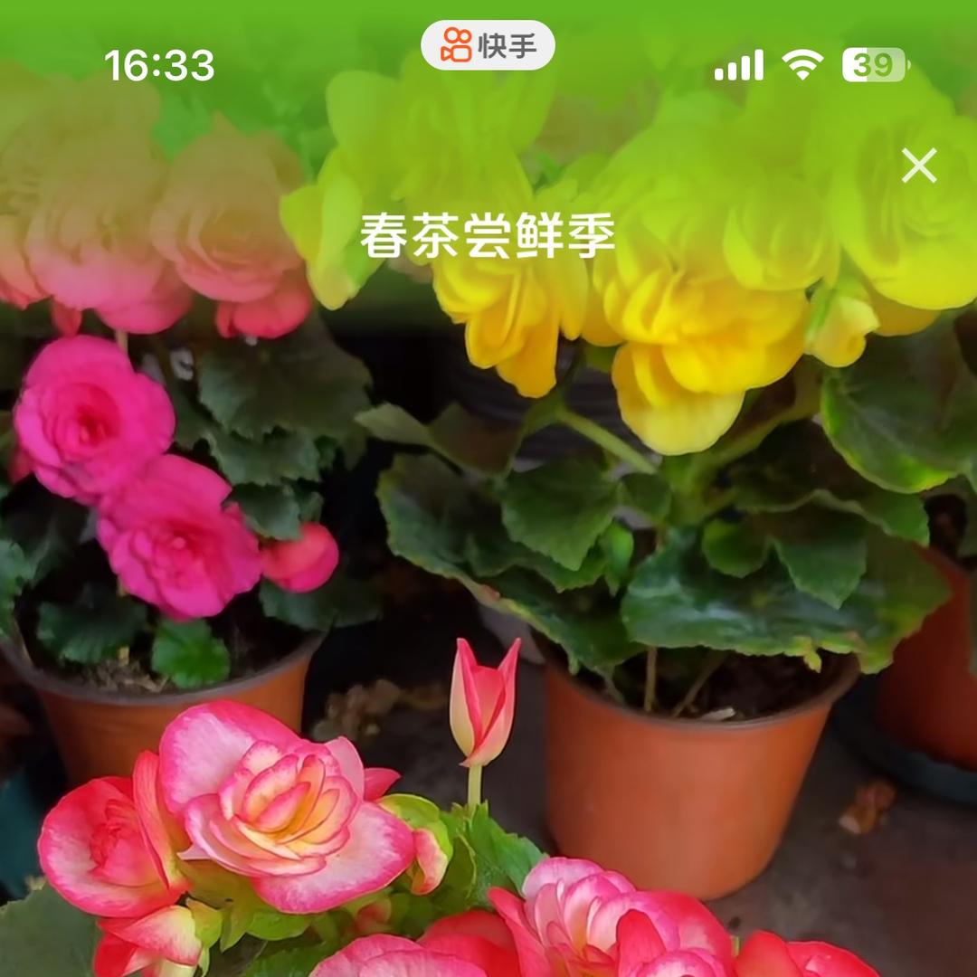 64162545354
