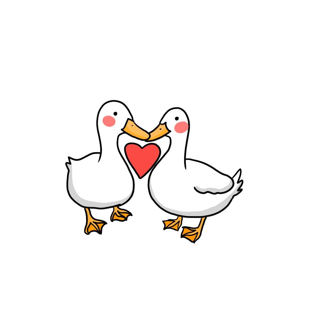 恒晟皇鼎宠粉号