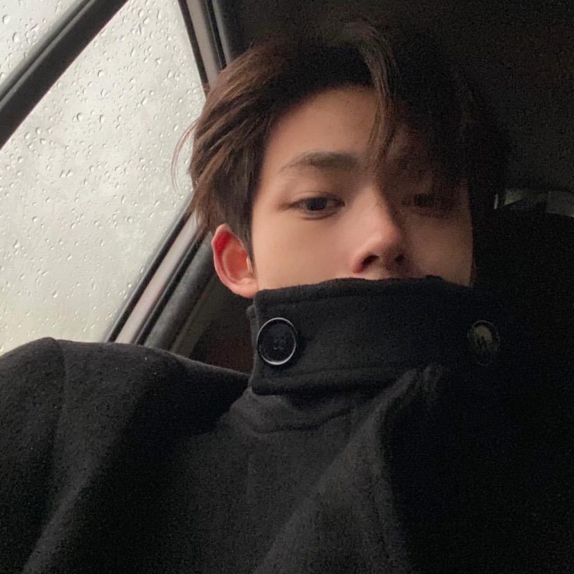 以安有个马车梦💨💨