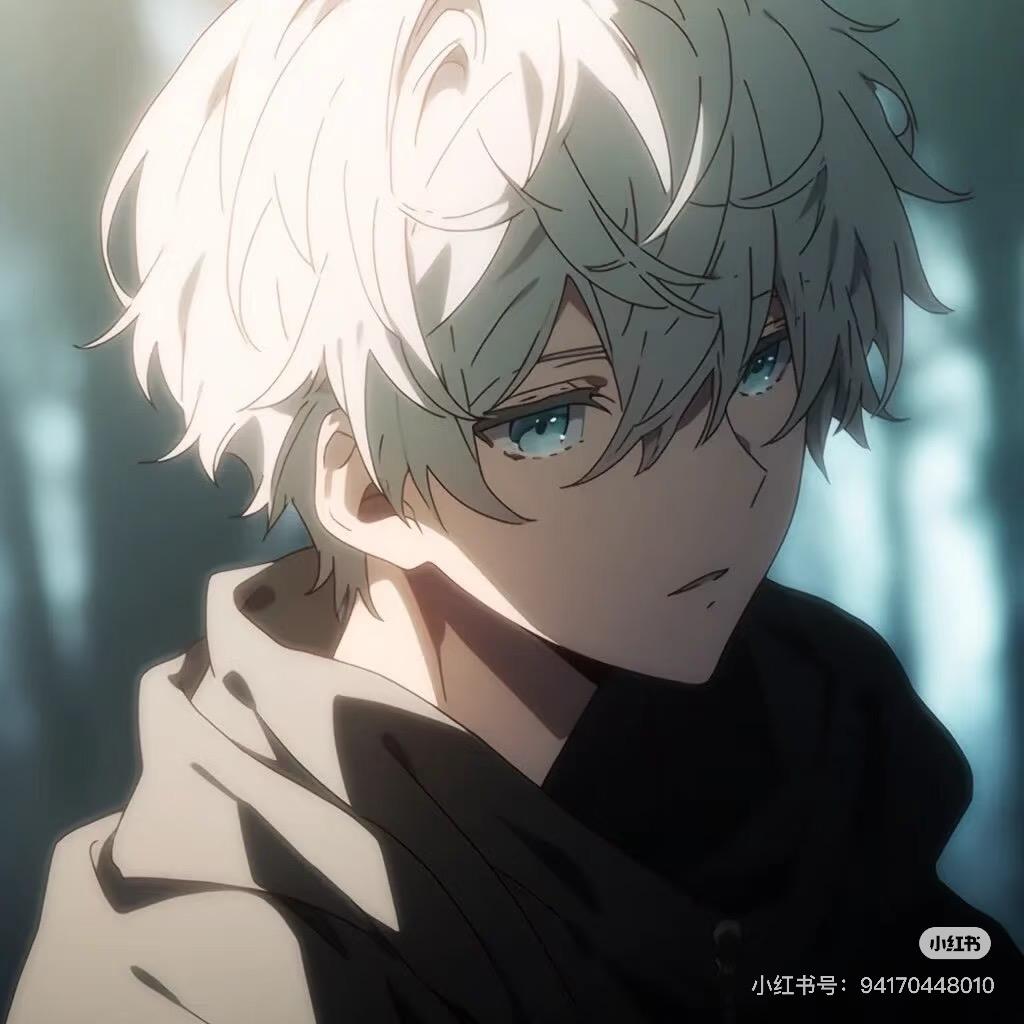 华子（出金版）cs2