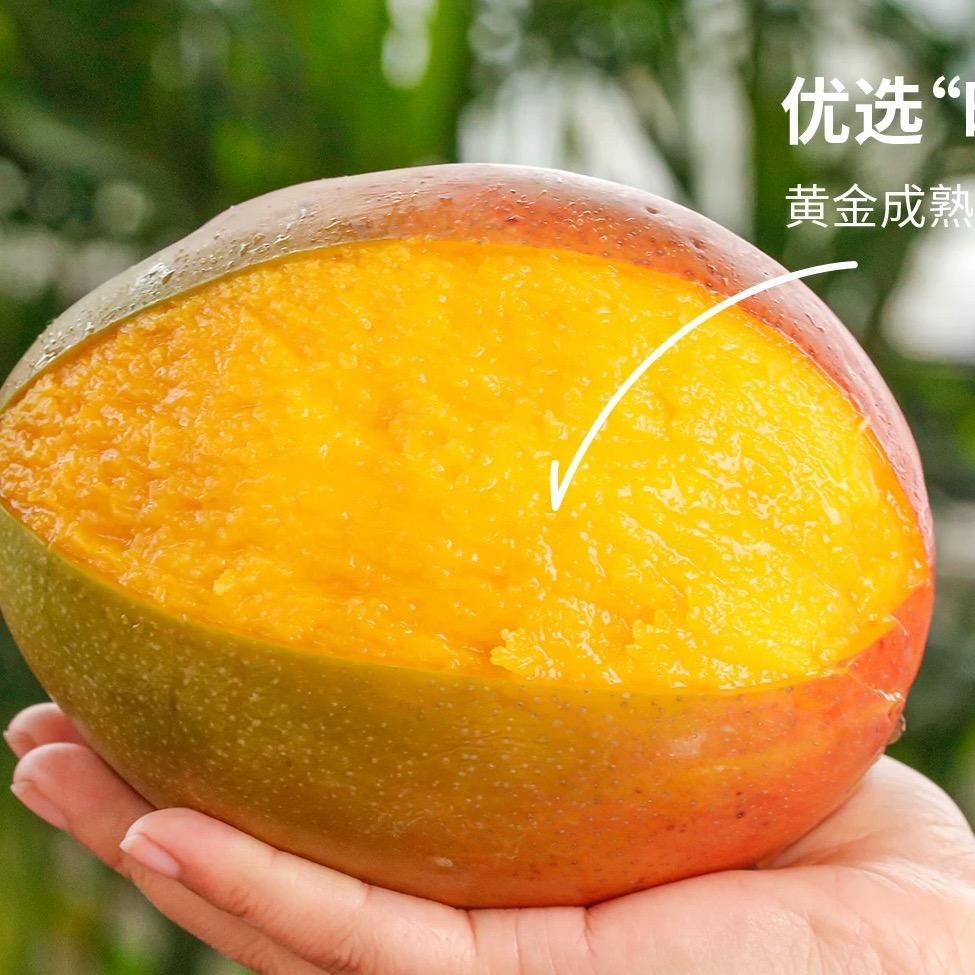 大宇果果