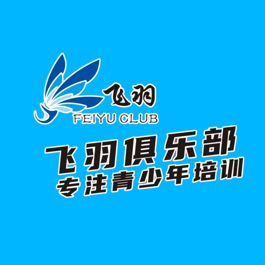 飞羽体育