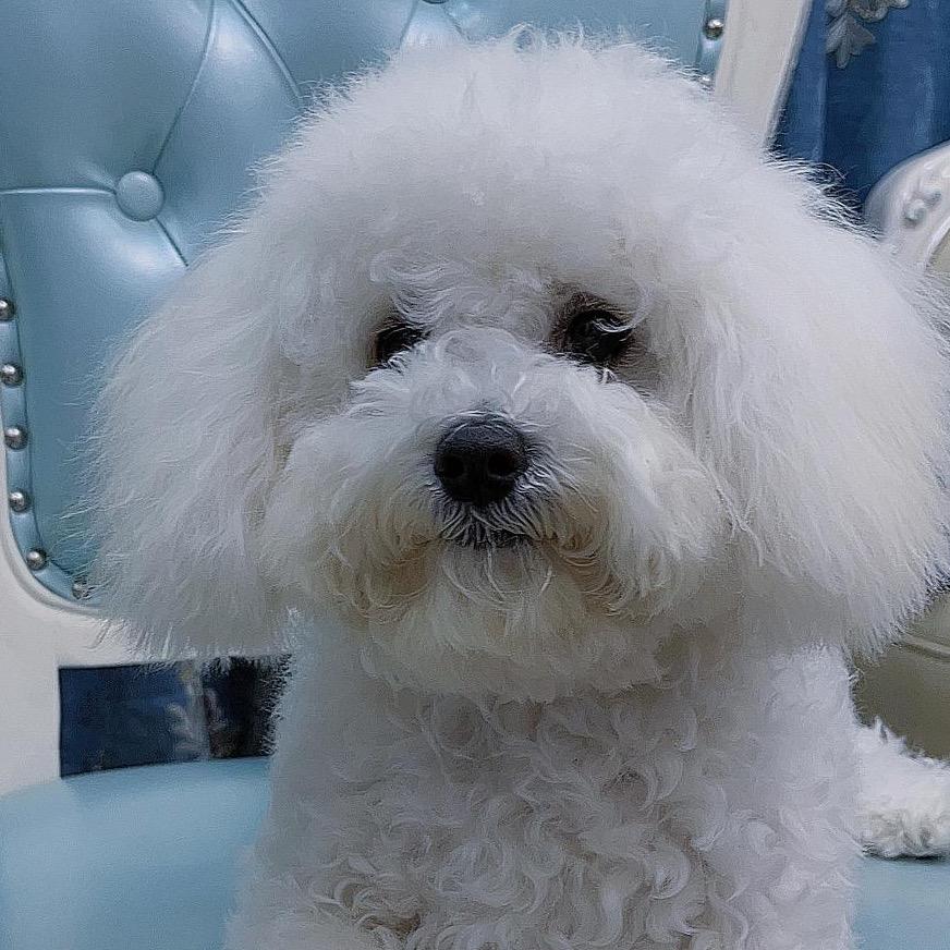 旺崽馒头小益达