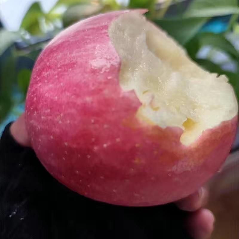 霞霞生鲜农产品