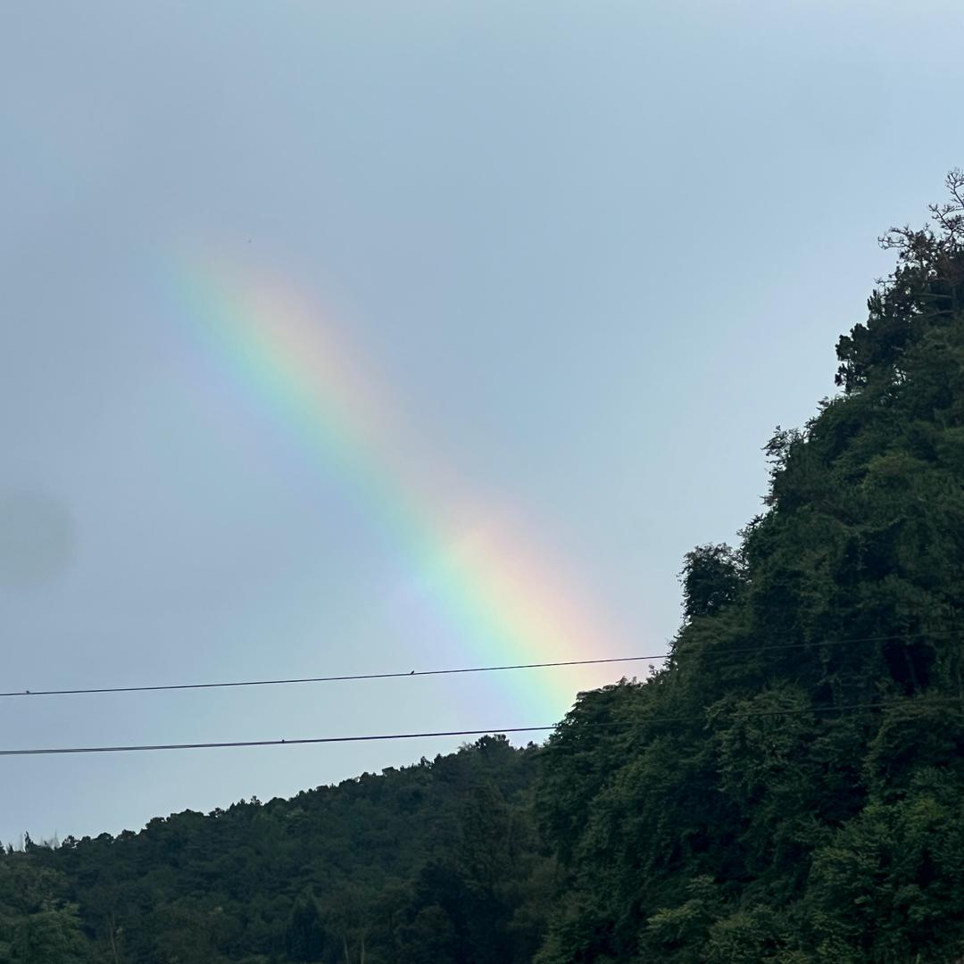 拾光自愈
