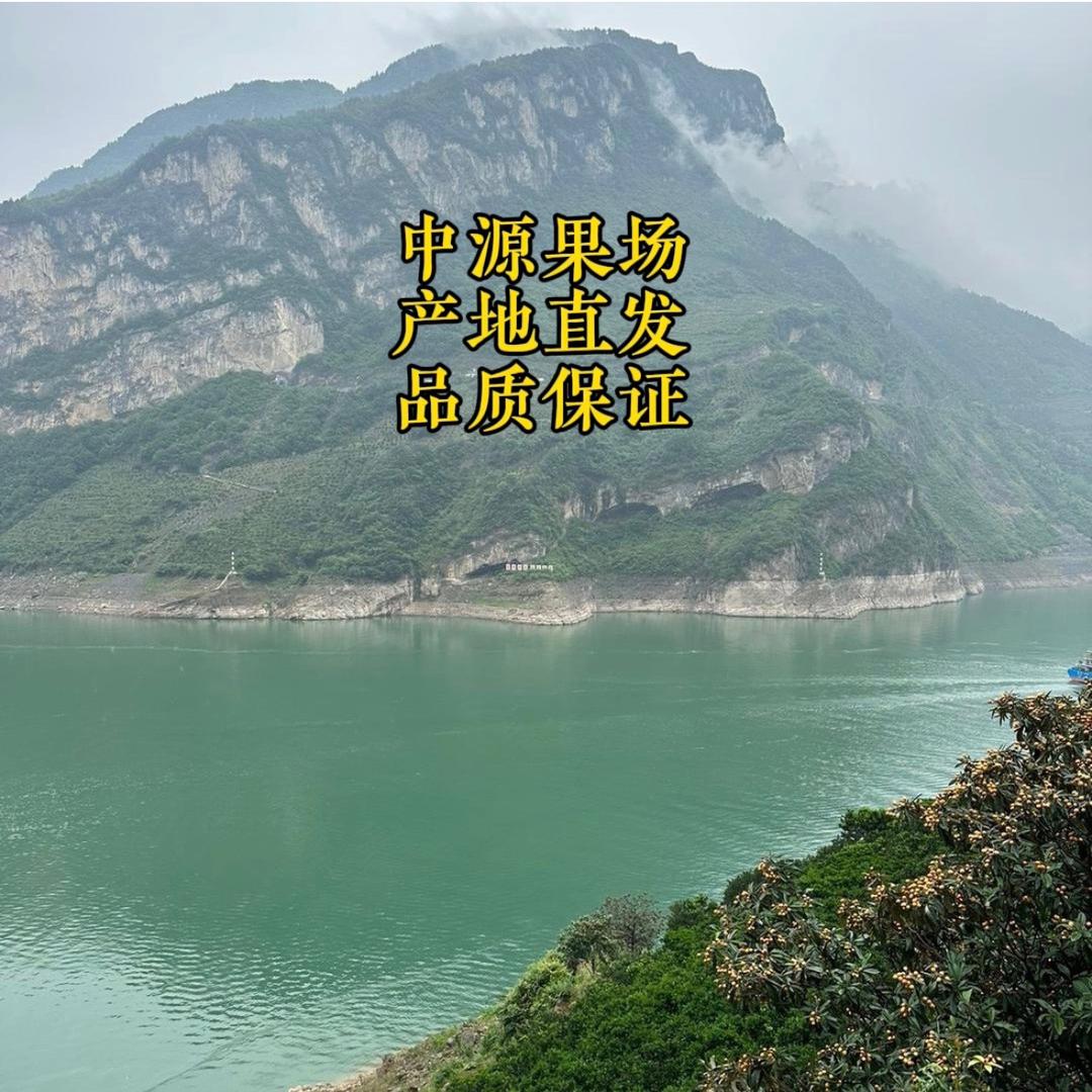 中源果场