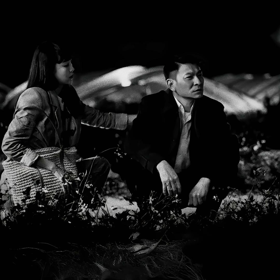 尔滨小六二手车 🚗收车