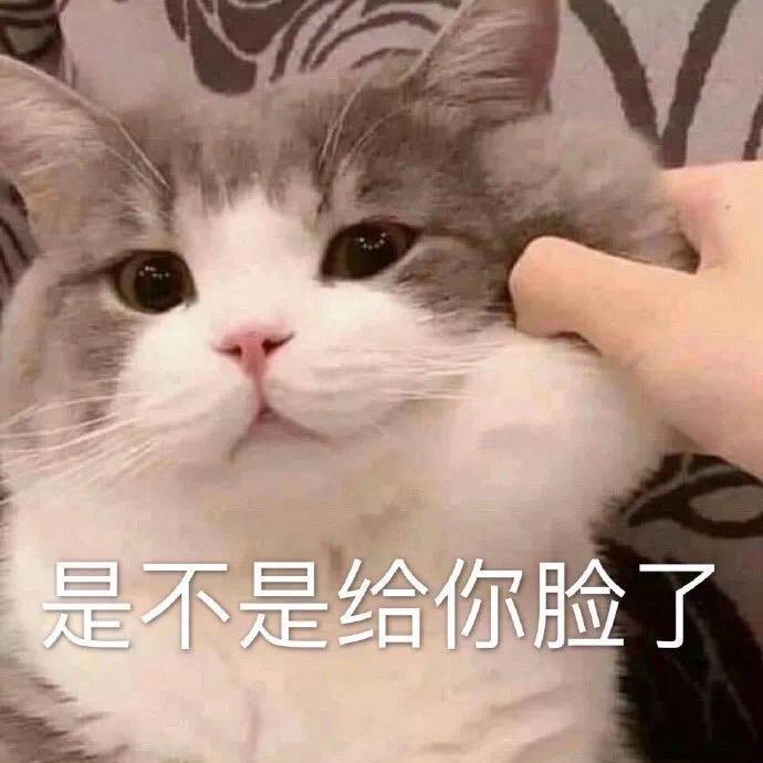 🌙