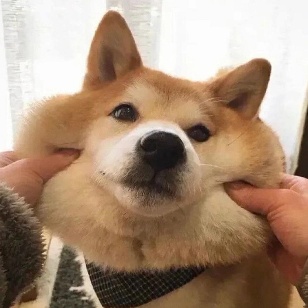忘仔