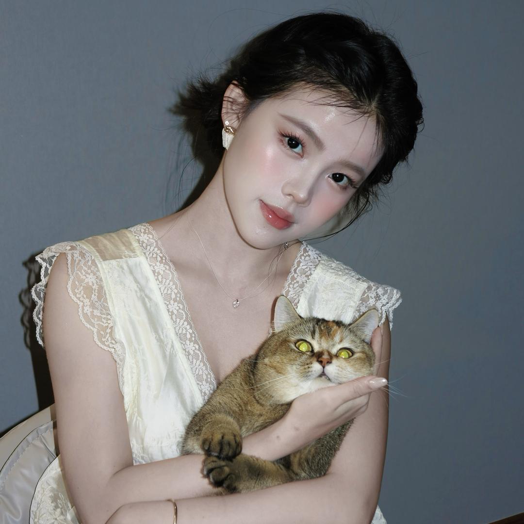 阿颗有五只猫