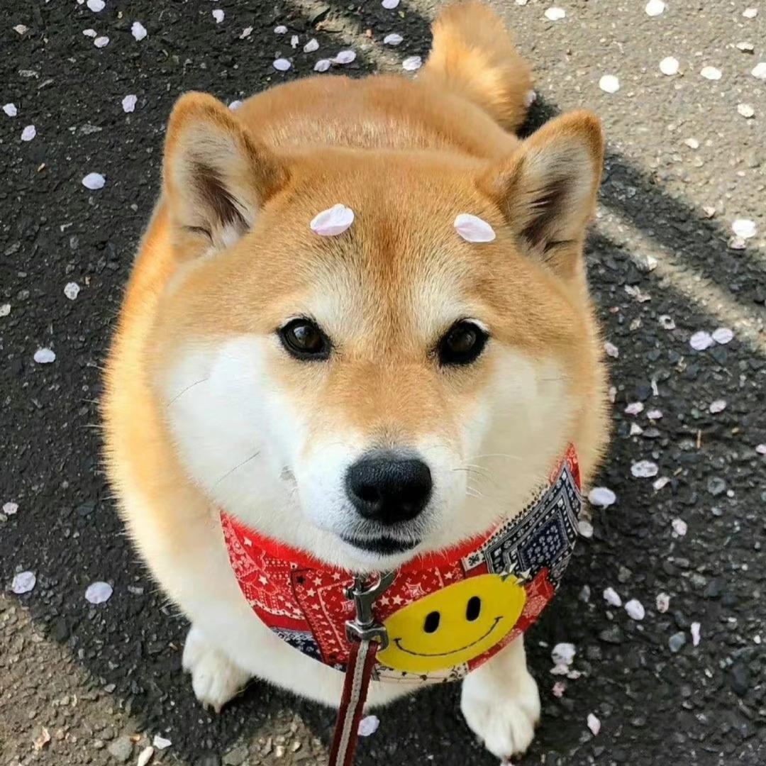 下雨天无敌