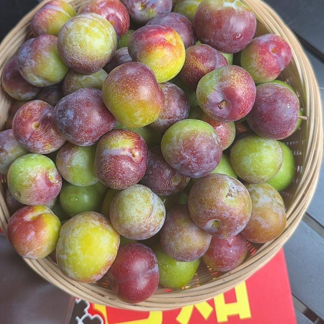 优质果园小店