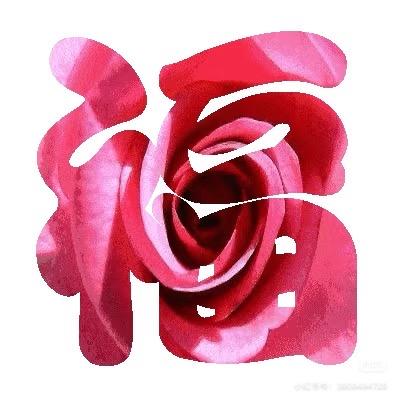 花开富贵$