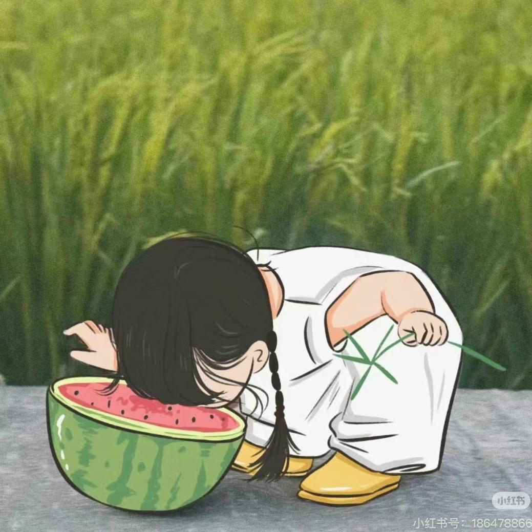珂珂