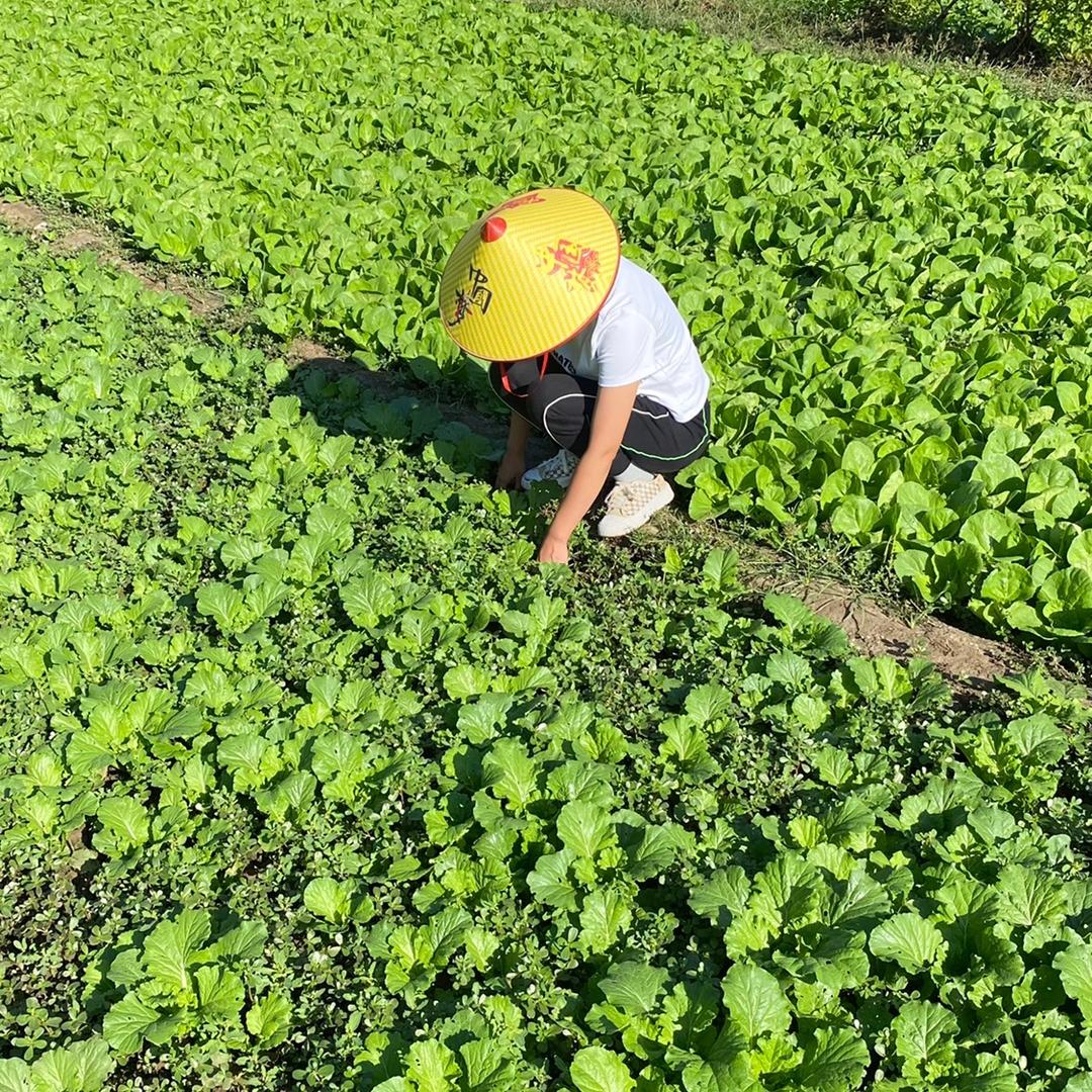 濮阳县曹能百货店
