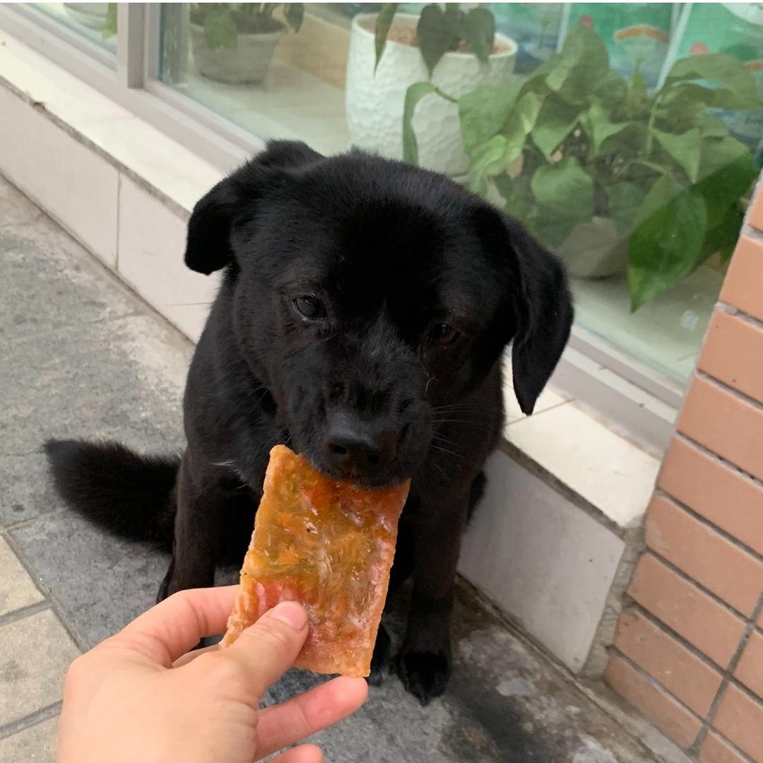 曹板凳凳
