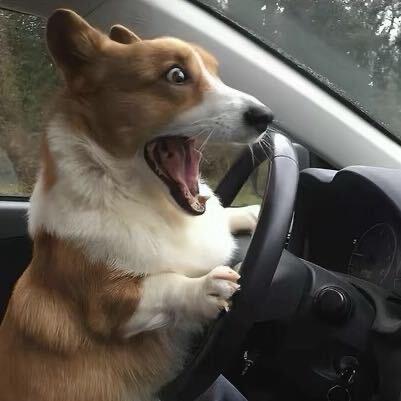 ▶  ||ı|ı||lıı 15