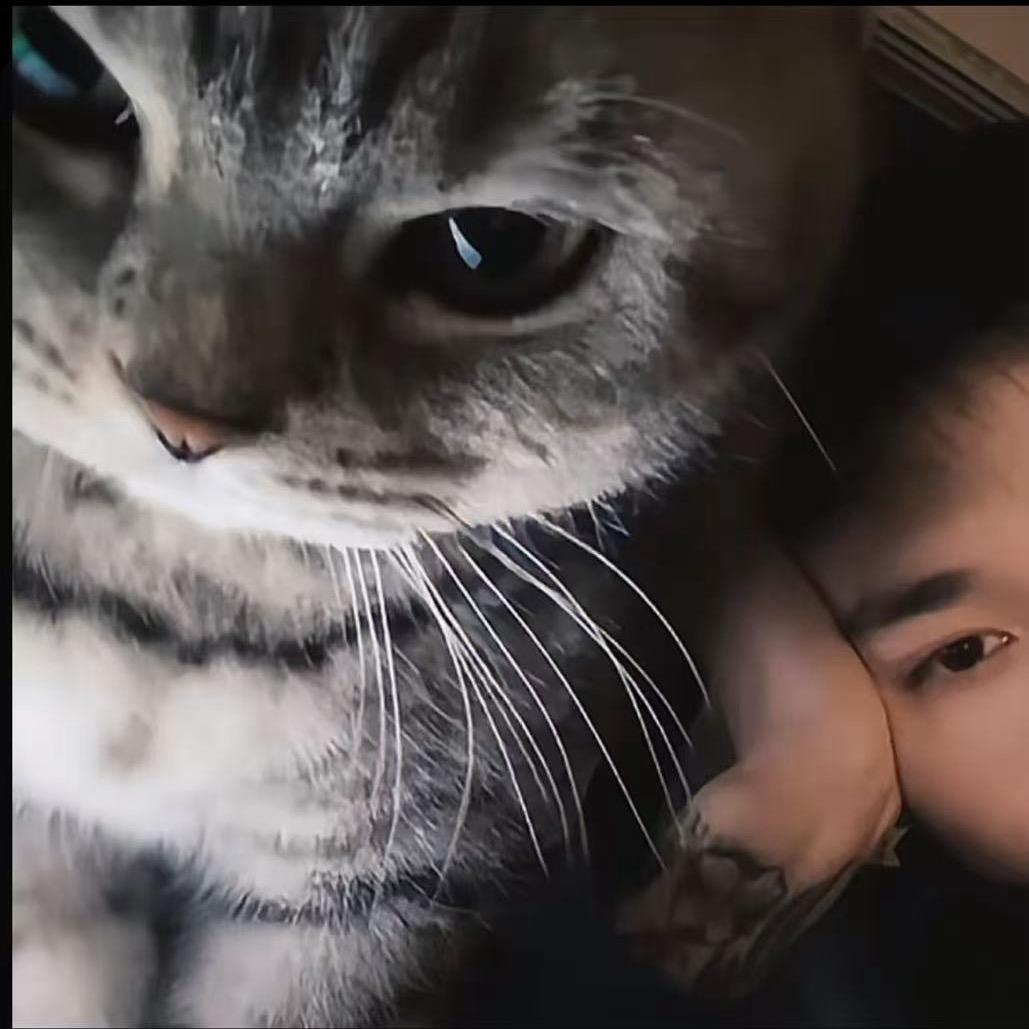 王鹤.