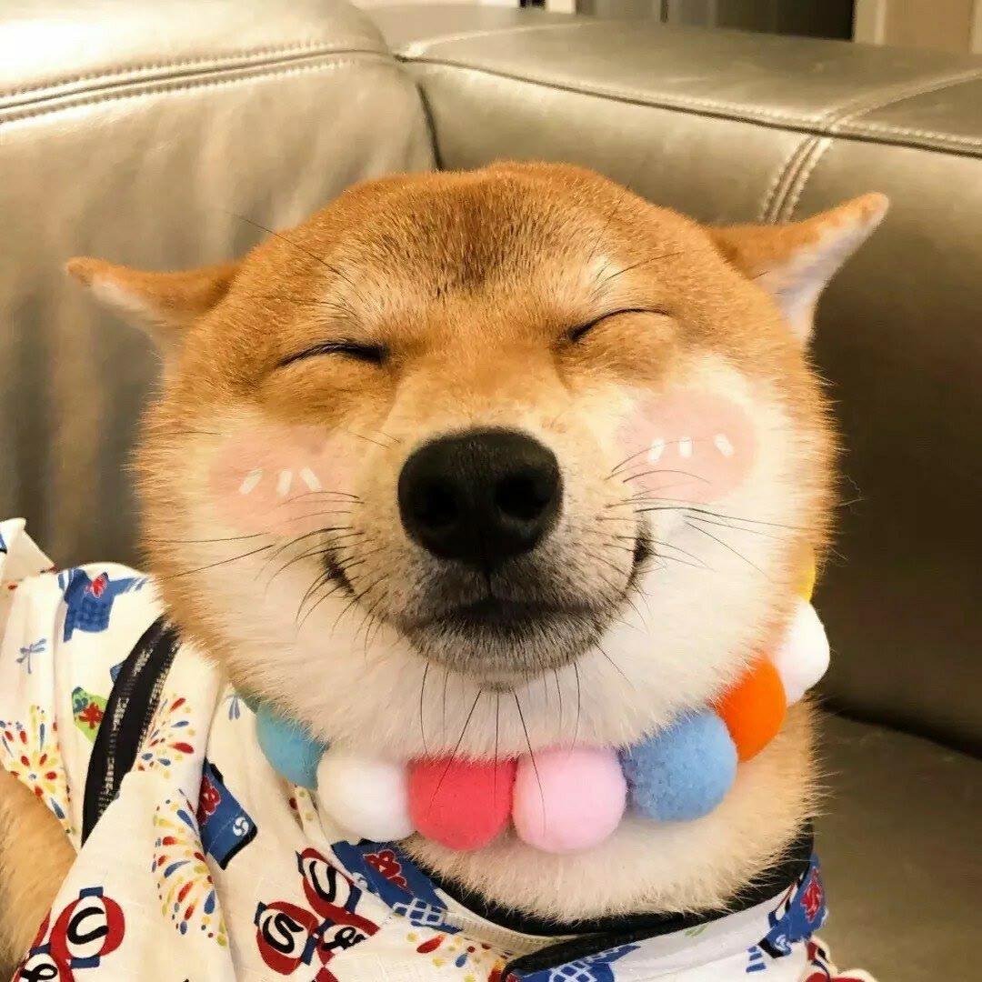 塞纳河畔