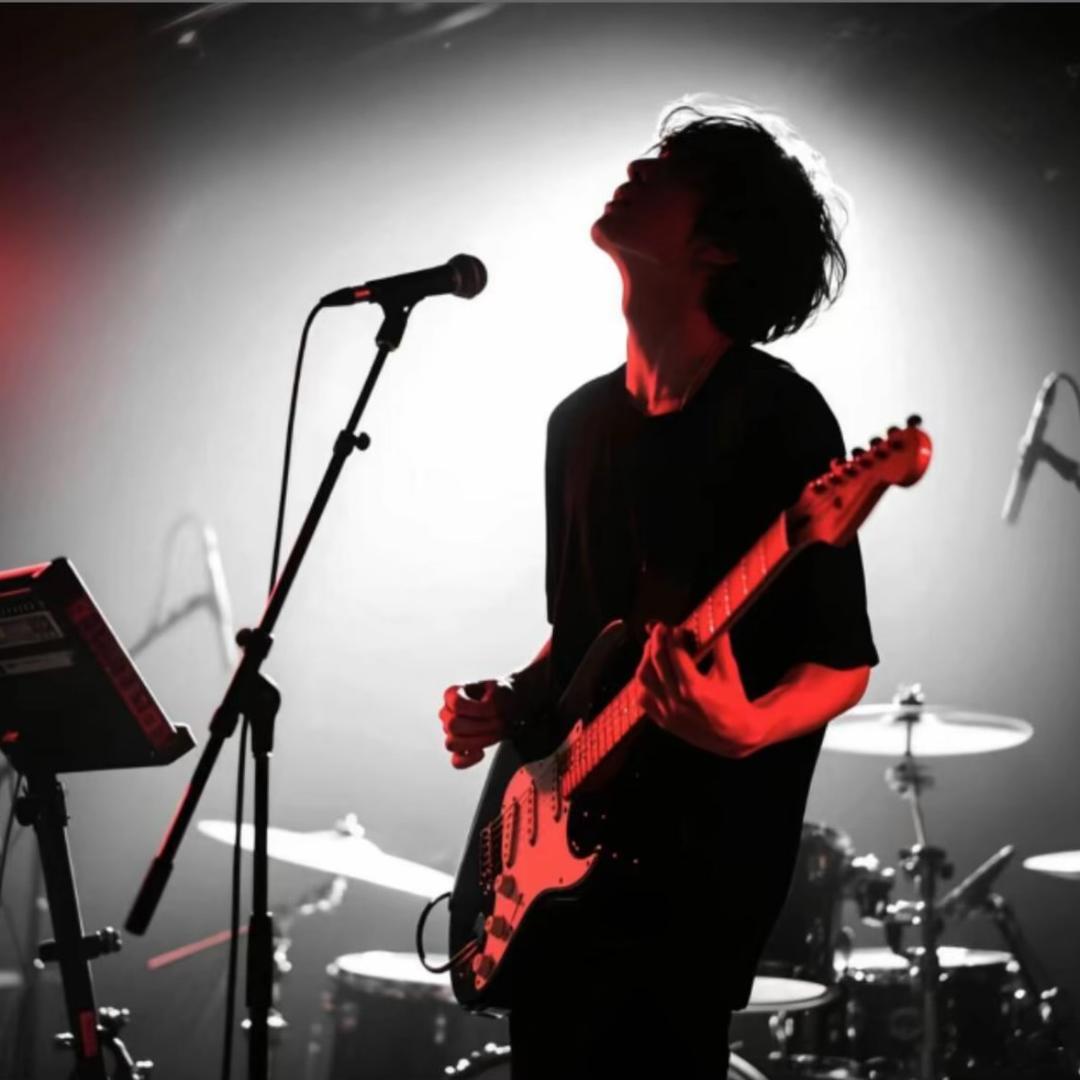 鸿杨好声音教学