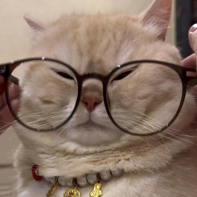 37_