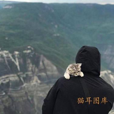 对，你说的对